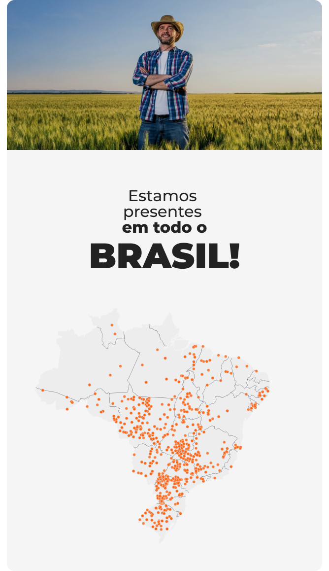 Estamos presentes no Brasil